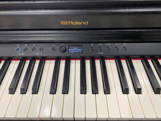 Store Special Product - Roland RP701-CB